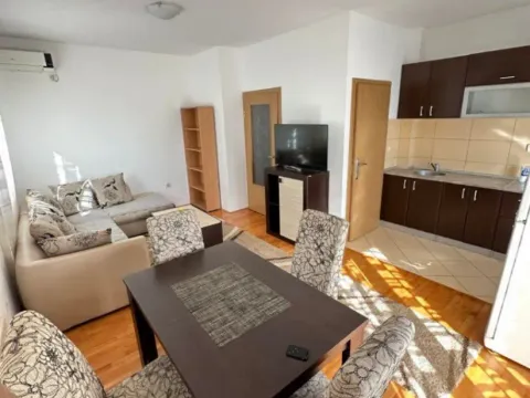 Izdavanje, jednosoban stan, 47m², Zabjelo, Podgorica - image 4