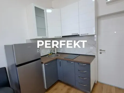 Rent, one bedroom apartment, 21m², Centar, Pančevo - image 2