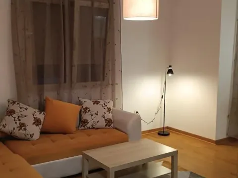 Izdavanje, jednosoban stan, 47m², Nova Dalmatinska, Podgorica - image 1