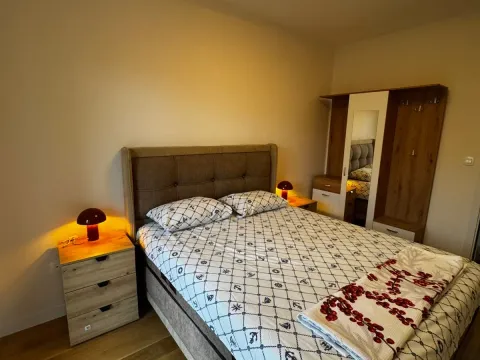 Izdavanje, jednosoban stan, 49m², Central Point, Podgorica - image 5