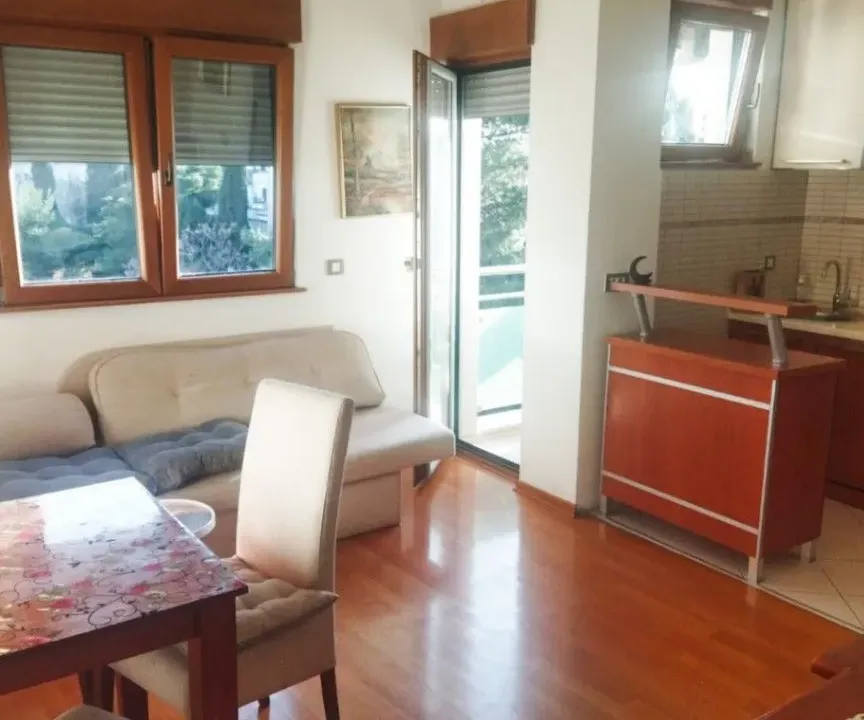 Izdavanje, jednosoban stan, 40m², Preko Morače, Podgorica