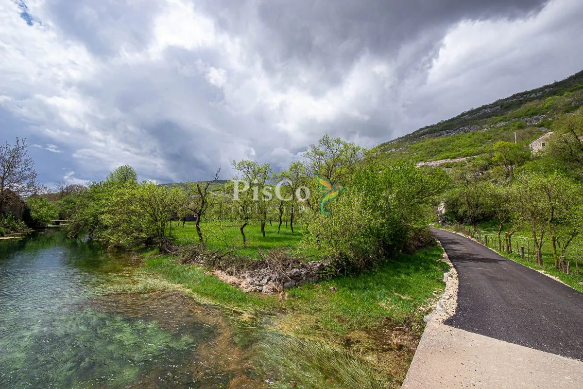 Prodaja, plac, 1241m², Nikšić, Crna Gora