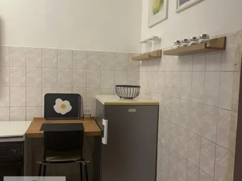 Izdavanje, jednosoban stan, 53m², Obrenovac, Beograd - image 11