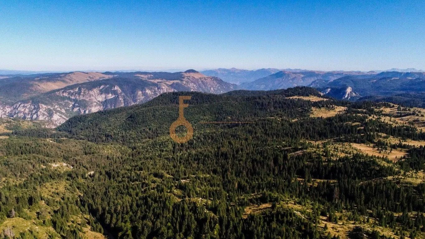 Prodaja, plac, 184880m², Žabljak, Crna Gora