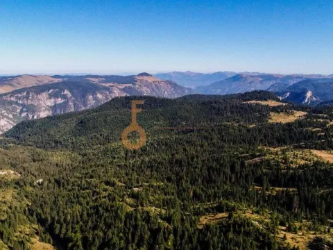 Prodaja, plac, 184880m², Žabljak, Crna Gora - image 12