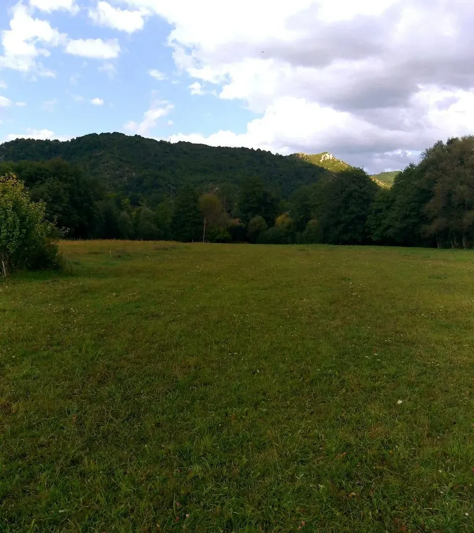 Prodaja, plac, 18000m², Drijenak, Kolašin