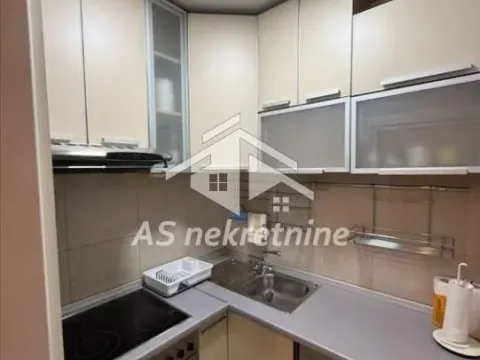 Izdavanje, stan, 52m², Vračar Hram, Vračar Sve Podlokacije - image 7