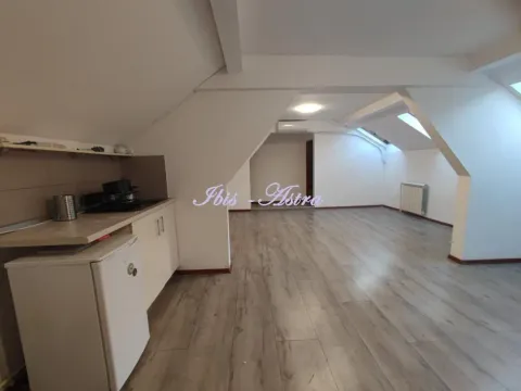 Izdavanje, stan, 163m², Stari Grad, Beograd - image 6