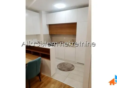 Izdavanje, dvosoban stan, 67m², Novi Beograd Sve Podlokacije, Beograd - image 10
