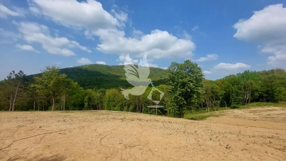 Sale, land lot, 14000m², Kosmaj, Sopot