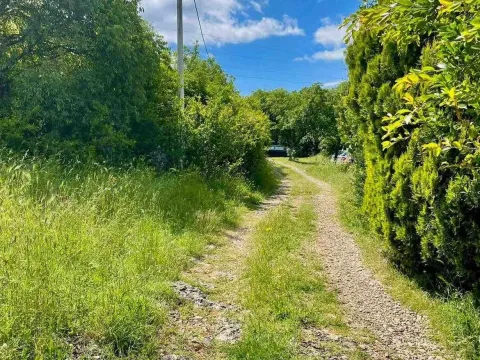 Prodaja, plac, 3000m², Danilovgrad, Crna Gora - image 3