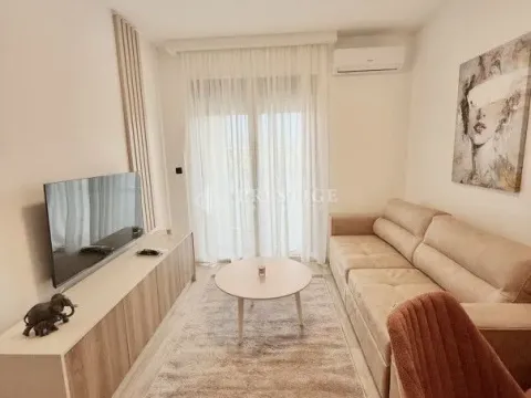Rent, one bedroom apartment, 35m², Zabjelo, Podgorica - image 1