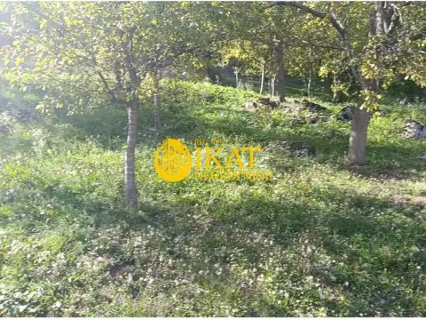 Prodaja, plac, 1850m², Predov krst, Tara - image 3