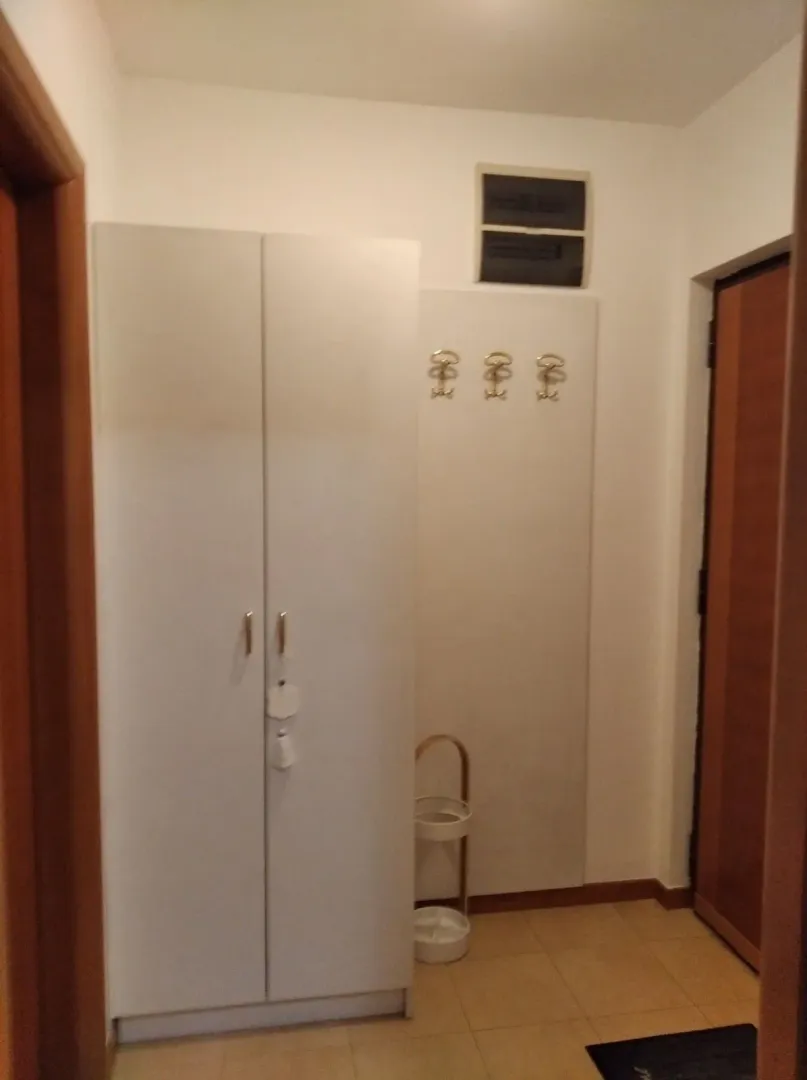 Izdavanje, jednosoban stan, 43m², Preko Morače, Podgorica