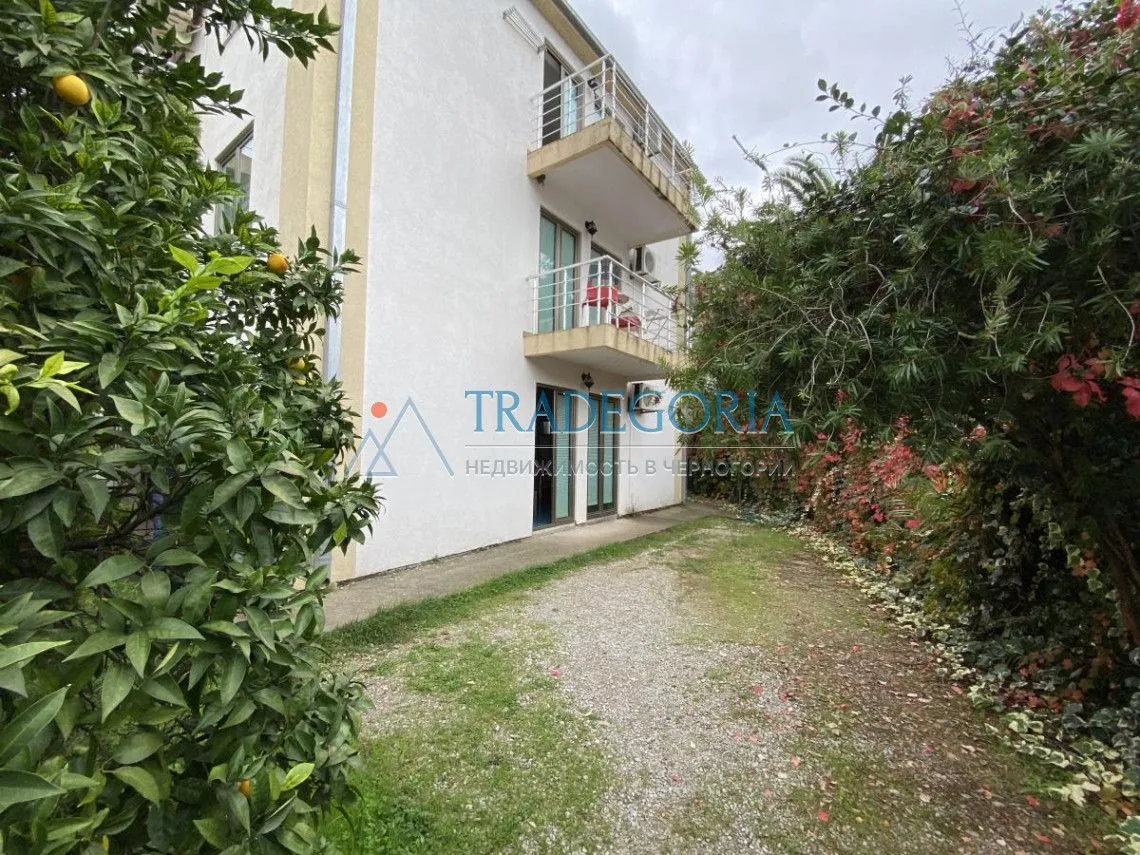 Exterior of the building with a yard and greenery.
