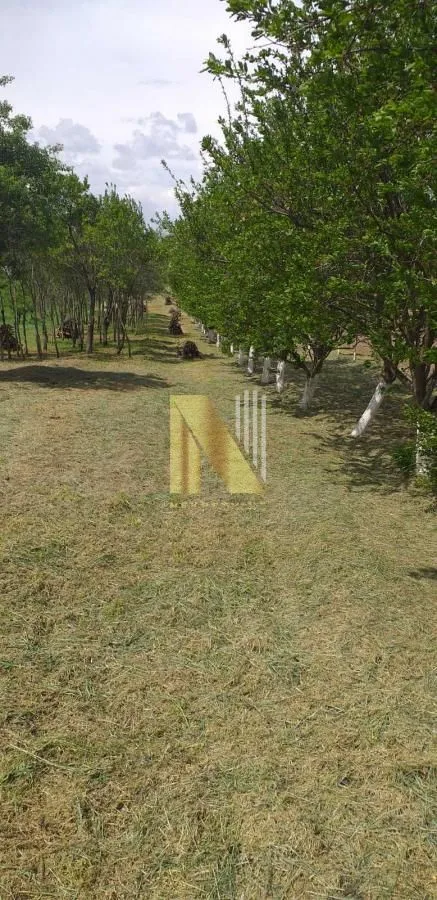 Prodaja, kuća, 65m², Čortanovci, Inđija