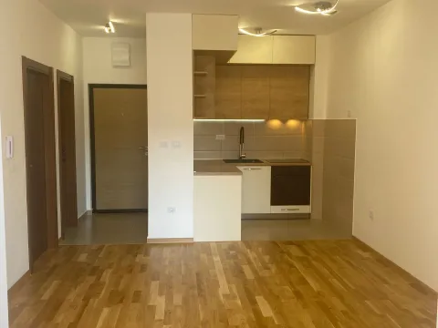 Izdavanje, stan, 43m², Tuški Put, Podgorica