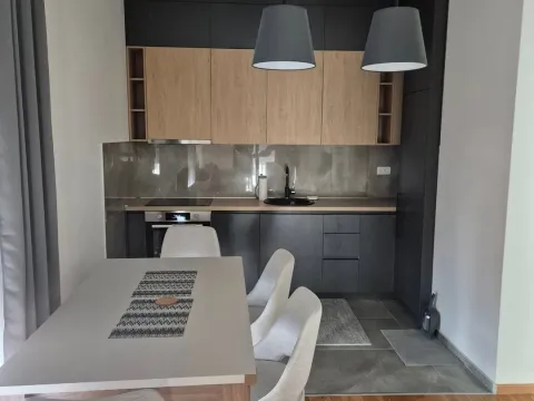 Rent, one bedroom apartment, 50m², Zabjelo, Podgorica - image 2