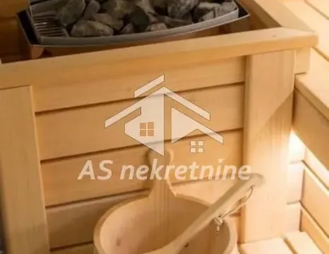 Izdavanje, dvosoban stan, 55m², Južni Bulevar, Vračar Sve Podlokacije - image 21