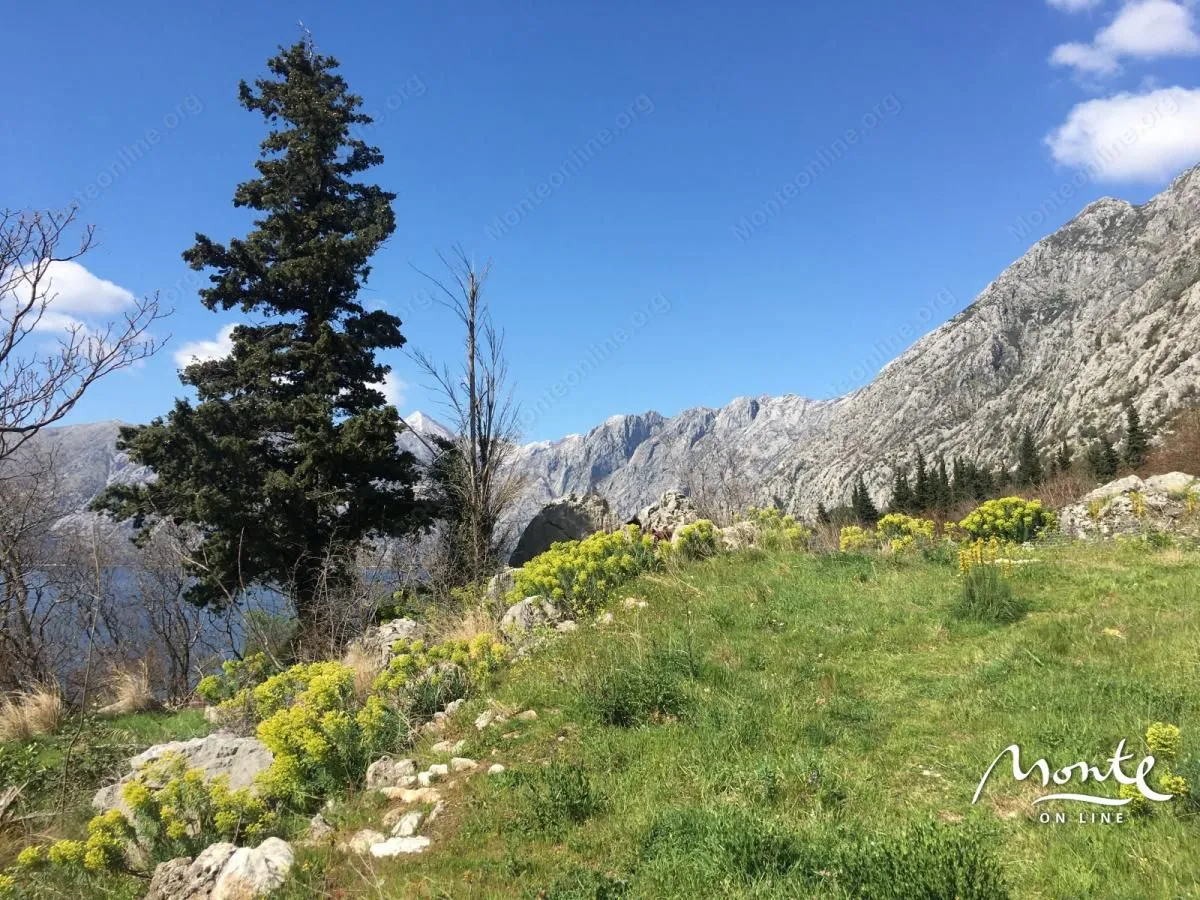 Prodaja, plac, 3060m², Dobrota, Kotor