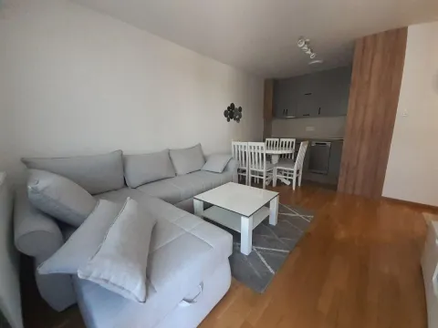 Rent, one bedroom apartment, 45m², Nova Detelinara, Novi Sad Sve Podlokacije - image 3