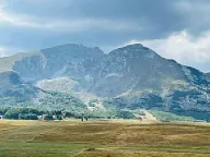 Prodaja, plac, 5000m², Pašina Voda, Žabljak - image 1