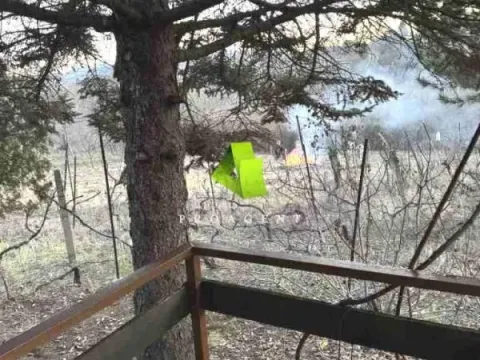 Prodaja, kuća, 40m², Palilula, Niš - image 12