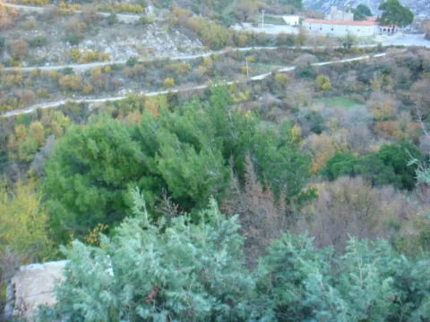 Prodaja, plac, 2000m², Kavač, Kotor - image 2