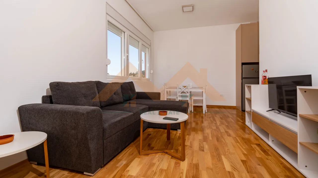 Izdavanje, jednosoban stan, 40m², Zagorič, Podgorica