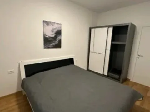 Izdavanje, jednosoban stan, 47m², Zabjelo, Podgorica - image 4