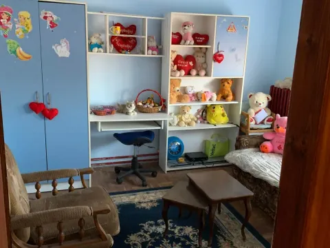 Prodaja, kuća, 190m², Veliki Crljeni, Lazarevac - image 7