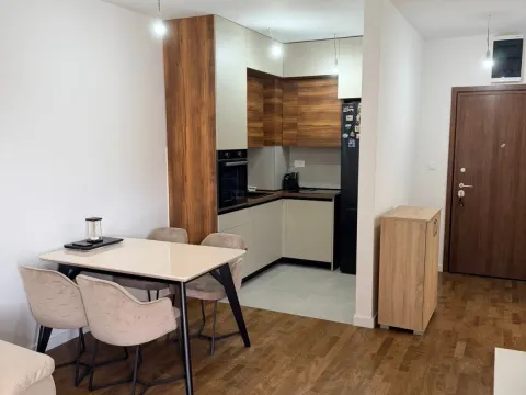 Rent, one bedroom apartment, 46m², Stari Aerodrom, Podgorica - image 1