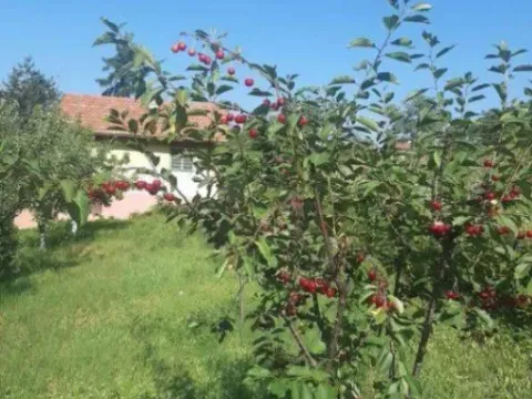 Prodaja, kuća, 40m², Brestovik, Grocka - image 3