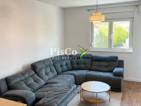 Izdavanje, jednosoban stan, 47m², Stari Aerodrom, Podgorica - image 2