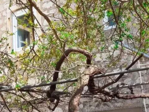 Prodaja, kuća, 220m², Prčanj, Kotor - image 3