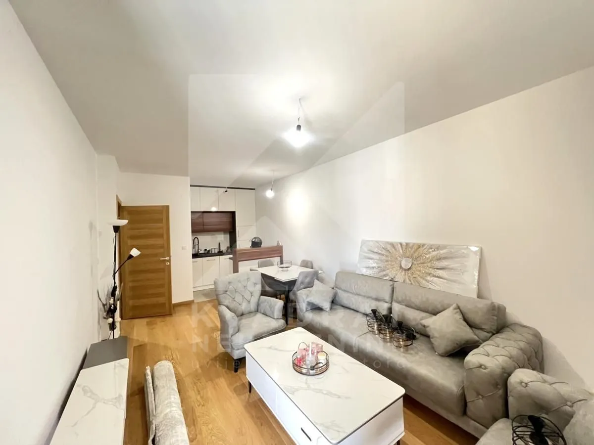 Izdavanje, jednosoban stan, 47m², New City, Podgorica