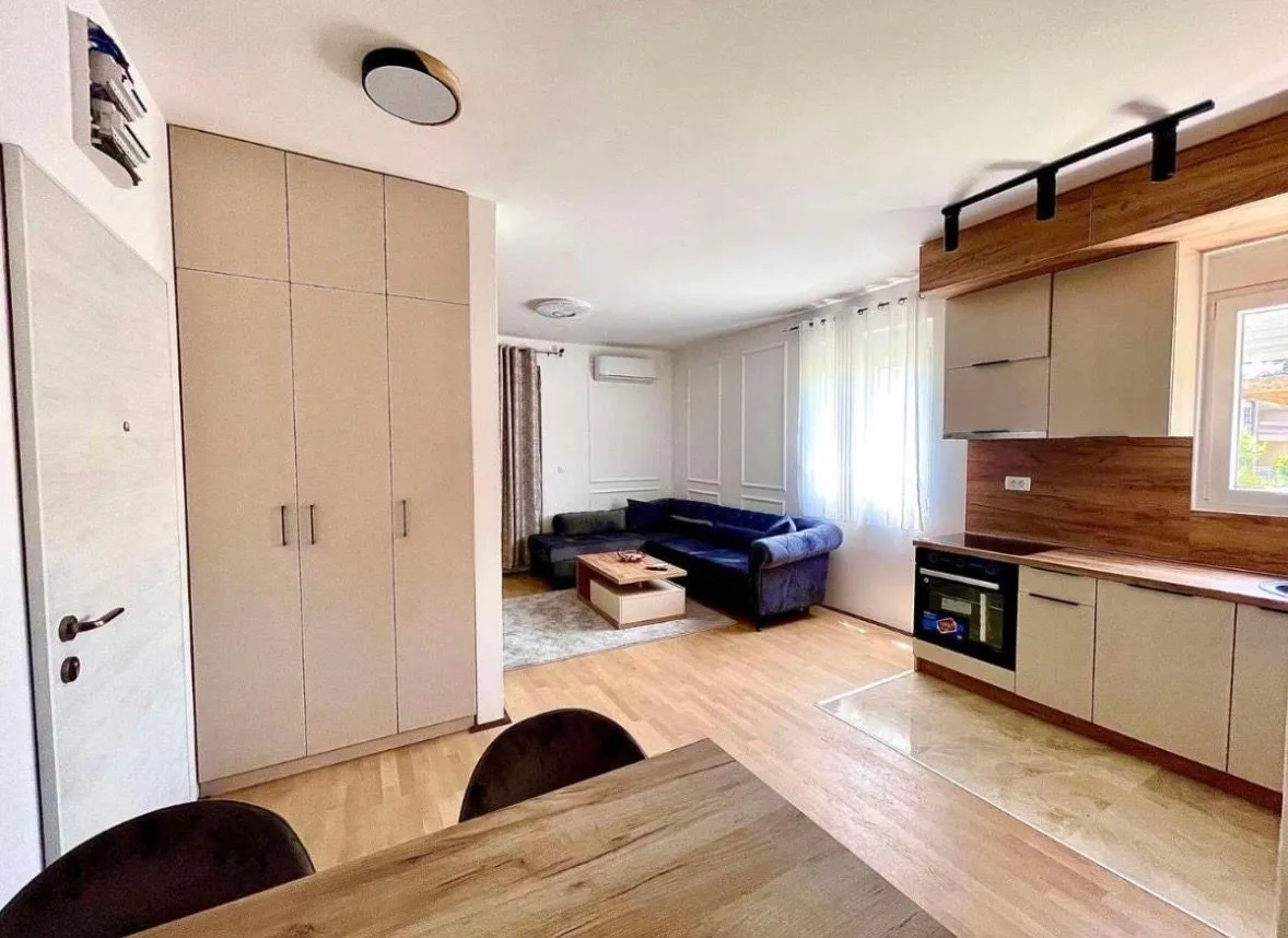 Rent, one bedroom apartment, 45m², Krivi Most, Podgorica