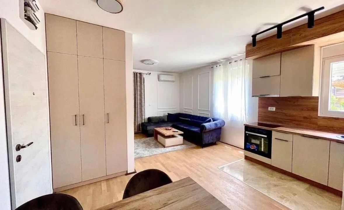 Izdavanje, jednosoban stan, 45m², Krivi Most, Podgorica
