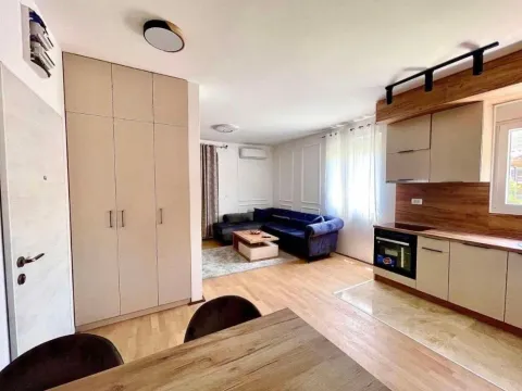 Rent, one bedroom apartment, 45m², Krivi Most, Podgorica - image 1