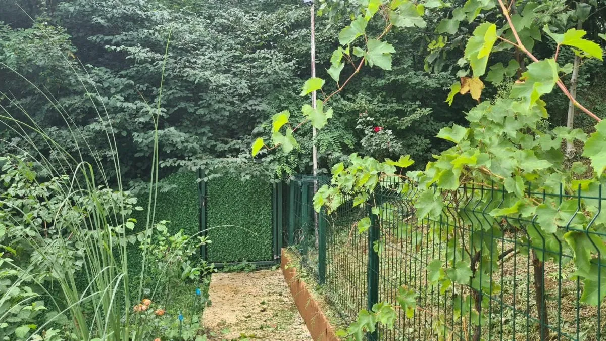 Prodaja, kuća, 86m², Banja Vrdnik, Irig