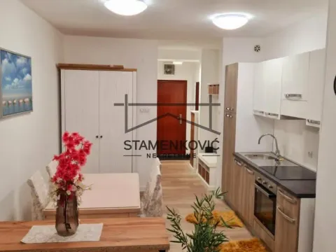 Izdavanje, stan, 34m², Sajam, Novi Sad Sve Podlokacije - image 2