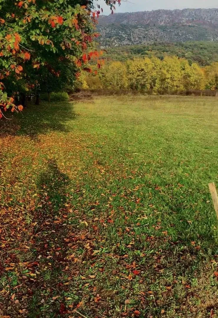 Prodaja, plac, 4650m², Podgorica, Crna Gora