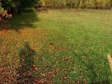 Prodaja, plac, 4650m², Podgorica, Crna Gora - image 5