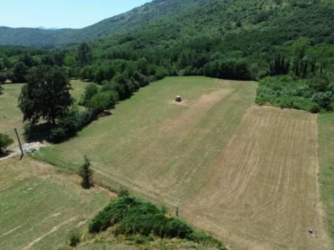 Prodaja, plac, 4999m², Ćurilac, Danilovgrad - image 3