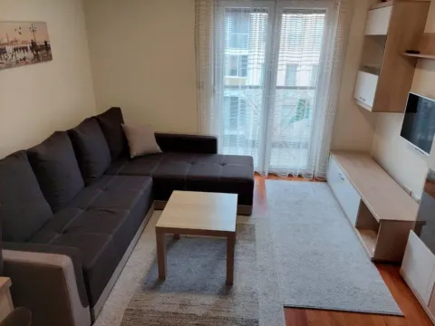 Izdavanje, jednosoban stan, 43m², Zabjelo, Podgorica - image 3
