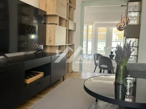 Izdavanje, dvosoban stan, 50m², Centar, Novi Sad - image 3