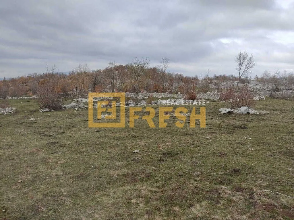 Prodaja, plac, 68000m², Kuče, Podgorica