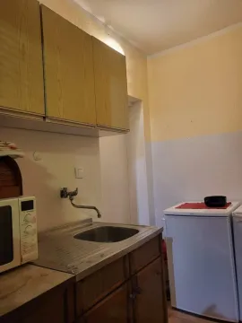 Jednostavna kuhinja sa drvenim elementima, sudoperom i mikrotalasnom pećnicom. - image 4