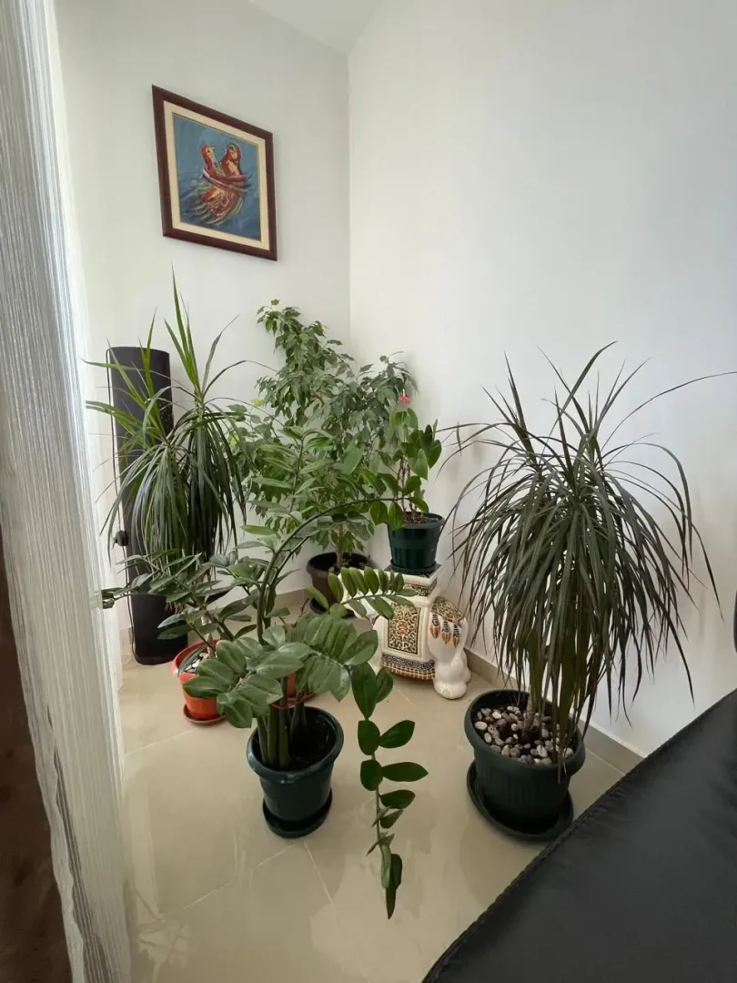 Sale, two bedroom apartment, 86m², Podkošljun, Budva