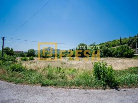 Prodaja, plac, 1475m², Farmaci, Podgorica - image 3